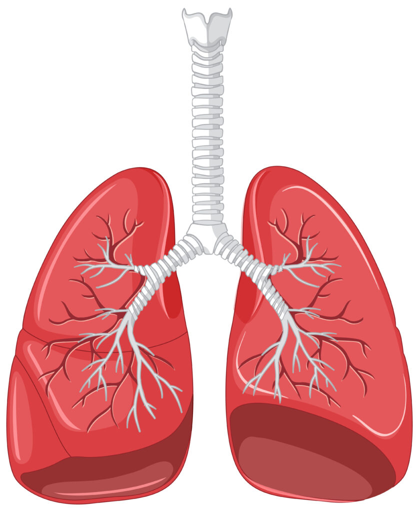 Lung Cancer